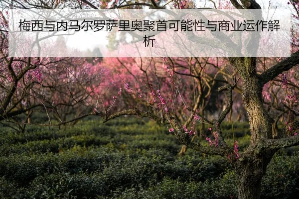 梅西与内马尔罗萨里奥聚首可能性与商业运作解析